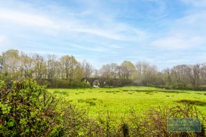 Photo 15- click for photo gallery